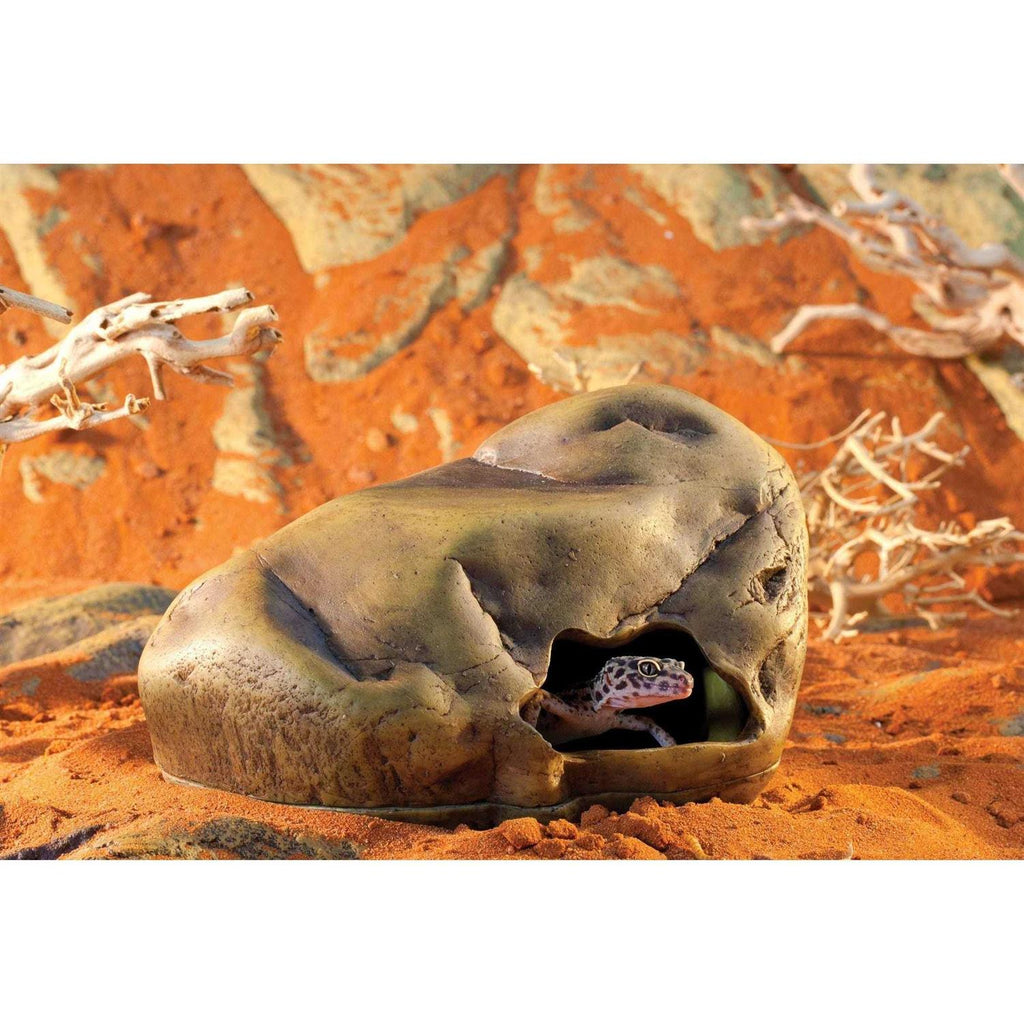 Gecko Cave V60096