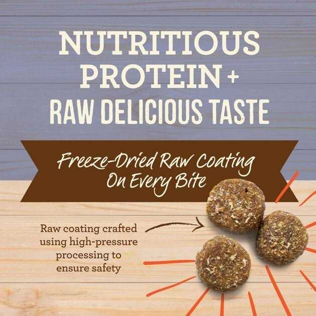 Healthy Grains Freeze Dried Raw Coated Dry Dog Food Puppy Recipe X585