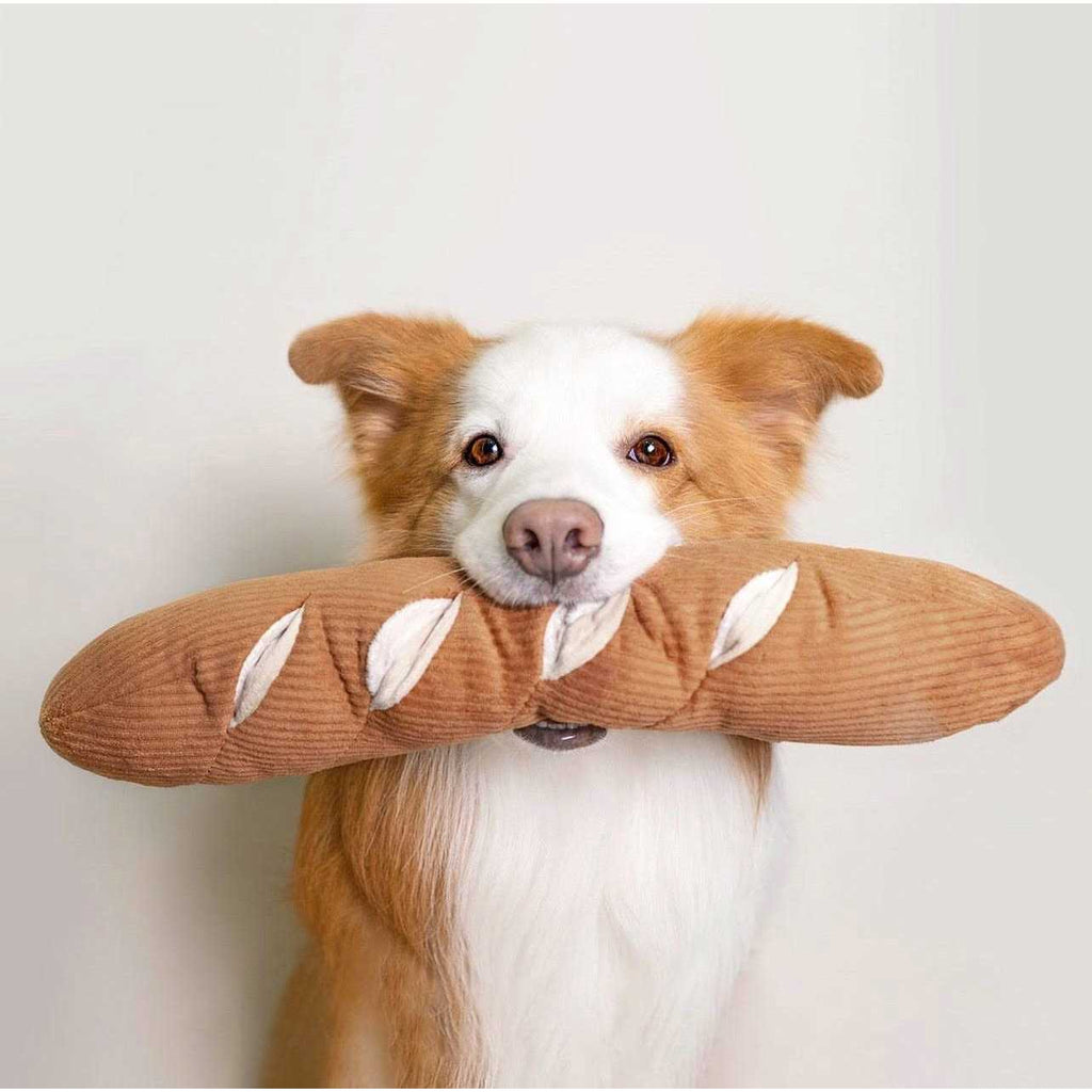 Dog Toy F37752