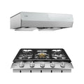 30 Inch Cooktop and Under Cabinet Range Hood H709