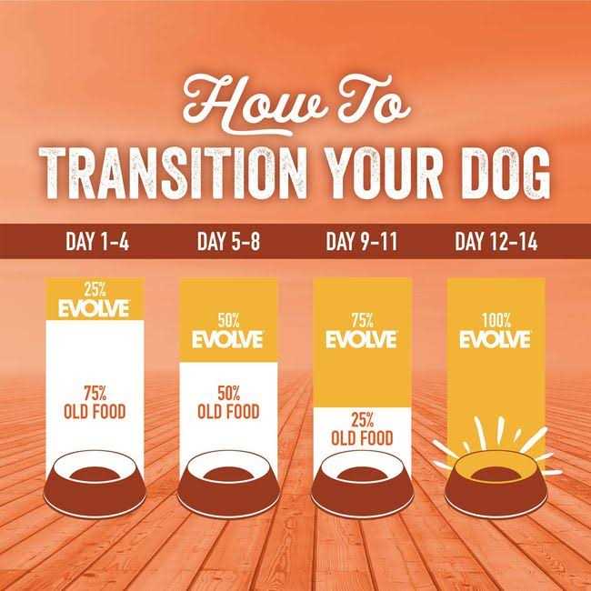 Grain Free Turkey and Sweet Potato Dog Food T388