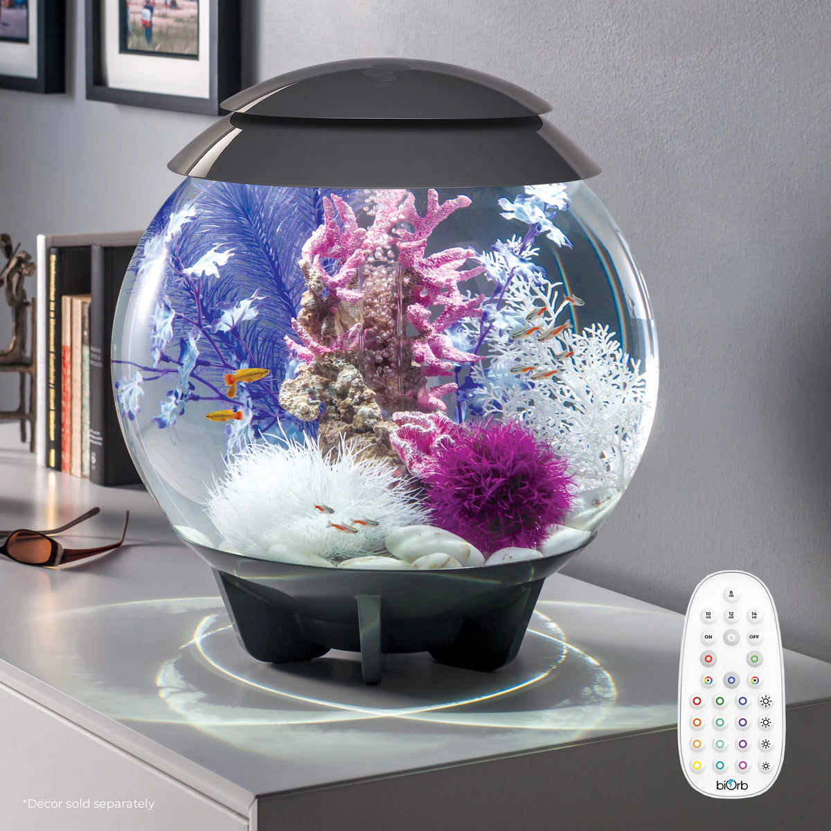 8 gallon Aquarium with MCR Light W1649