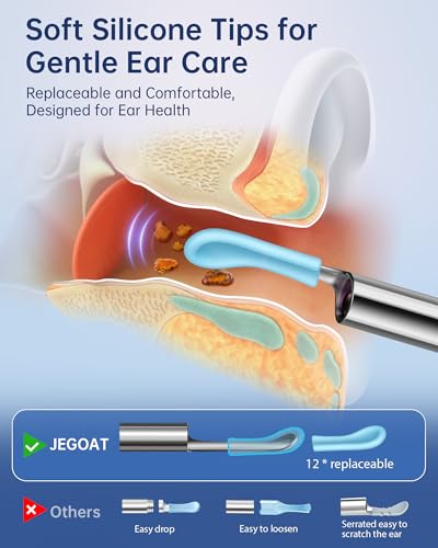 Ear Cleaner with Camera, 6 LED Lights and 10 Ear Picks B288