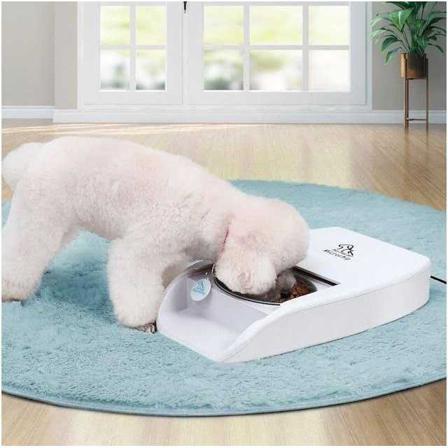 Automatic Microchip Pet Feeder C643