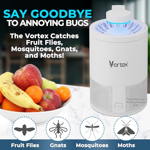Indoor Insect Trap UV Light Suction Glue Board Bug Light Fruit Fly Trap (Black) H6664