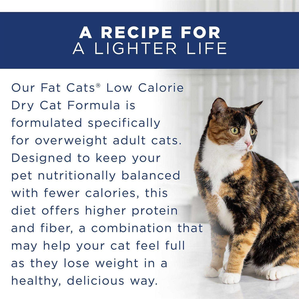 Adult Dry Cat Food S451393