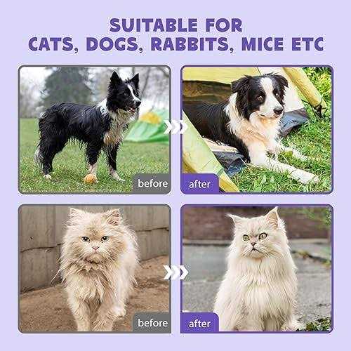 Pet Cleaning Deodorizing Bathing Wipes E674759