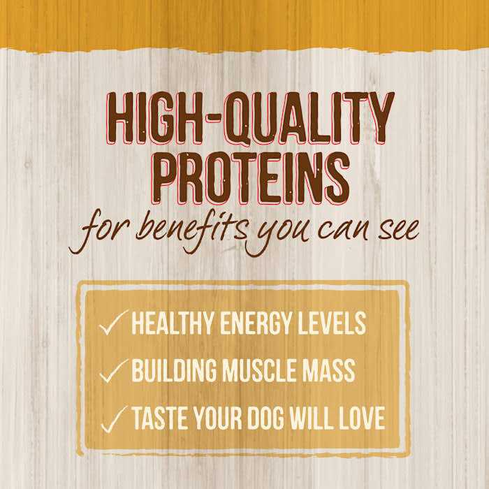 Real Ancient Grains Dry Dog Food V5248