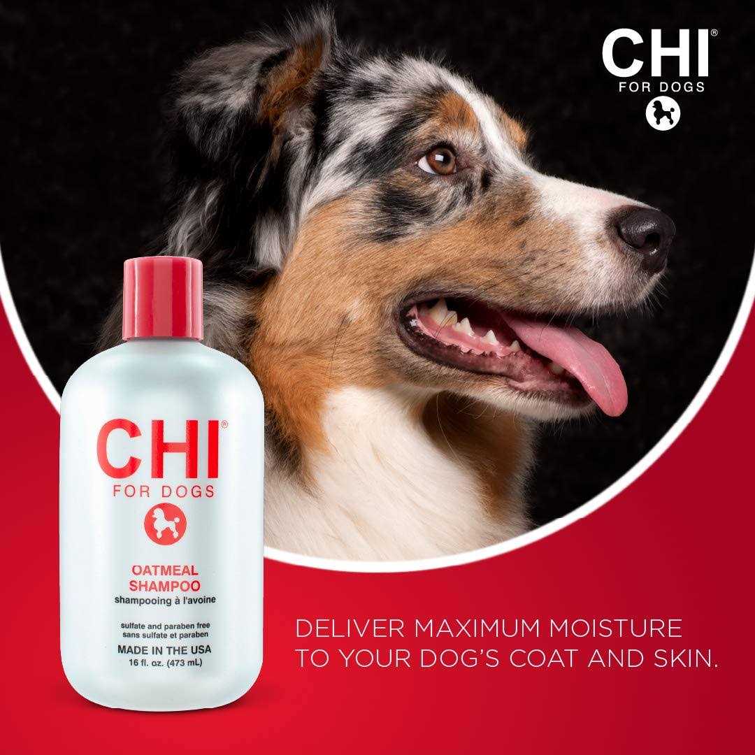 Oatmeal Dog Shampoo 16 oz Sulfate Paraben Free S7096