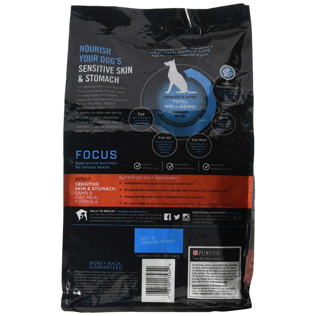 Sensitive Skin & Stomach Dry Dog Food A405091