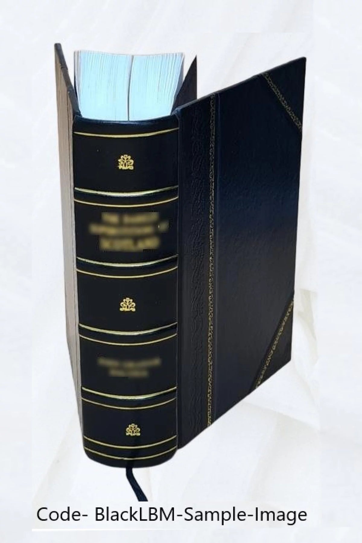 Gastronomie et vie élégante Leather Bound P499