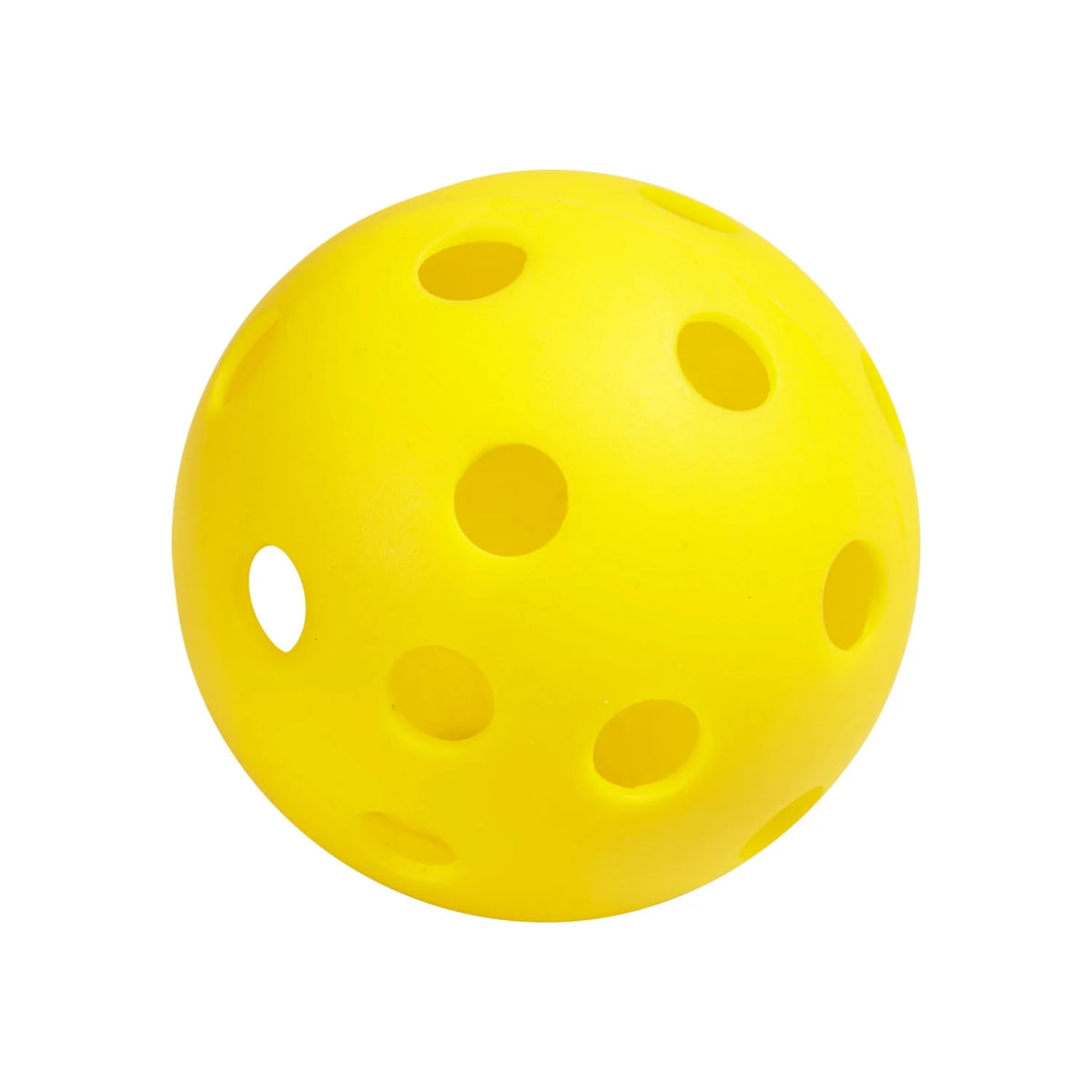 Pickleball Starter Set F841005