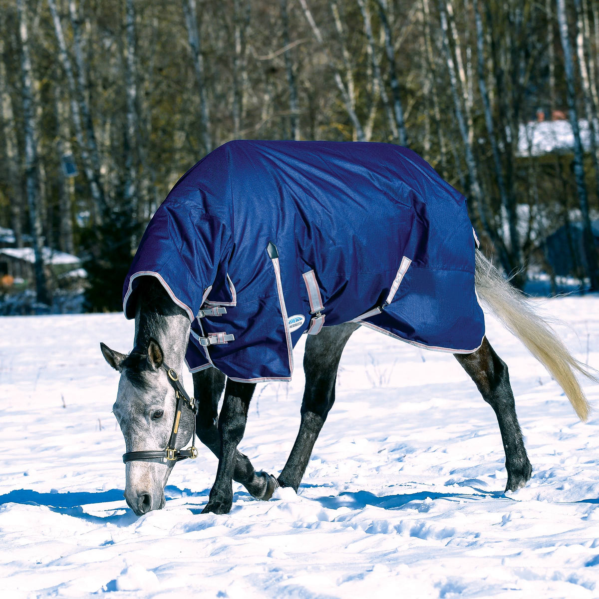 Navy/Silver/Red Combo Neck Medium Blanket O55486