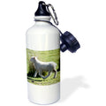 21 oz Sports Water Bottle Z9433