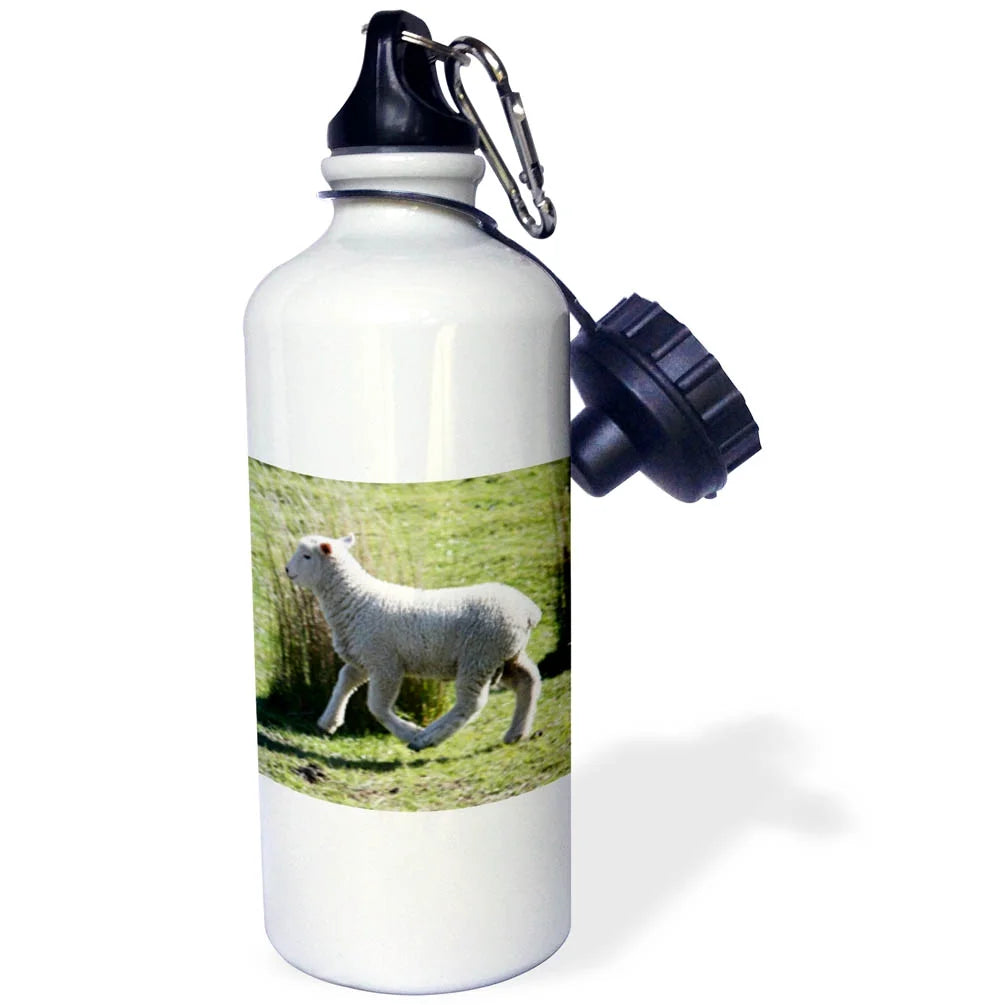 21 oz Sports Water Bottle Z9433
