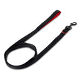Pull Control Dog Leash with D-Ring F376
