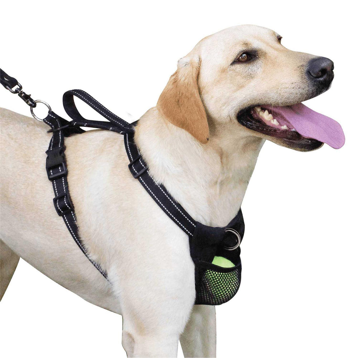 Harness G46530