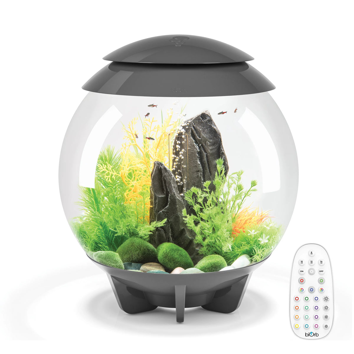 8 gallon Aquarium with MCR Light W1649