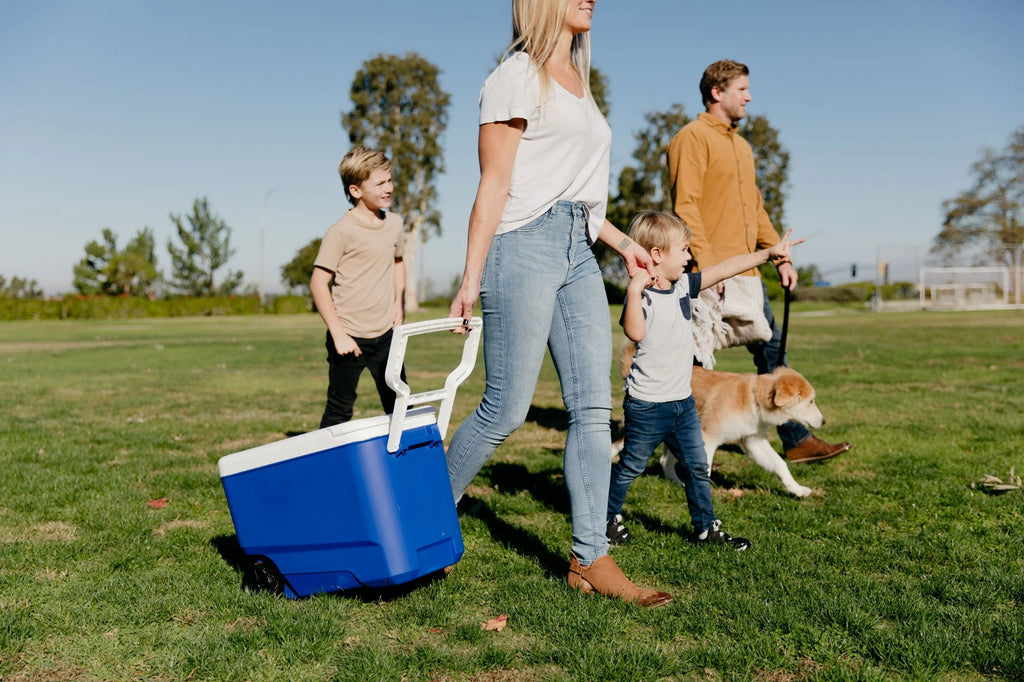 38 QT. Hard-Sided Ice Chest Cooler with Wheels, Blue Q589479