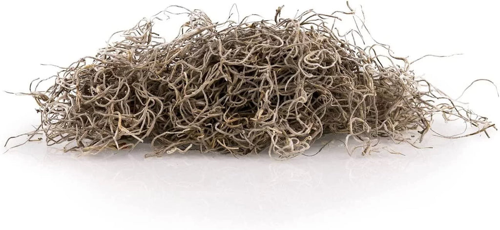 Natural Spanish Moss, 3 Quart Bag X3407