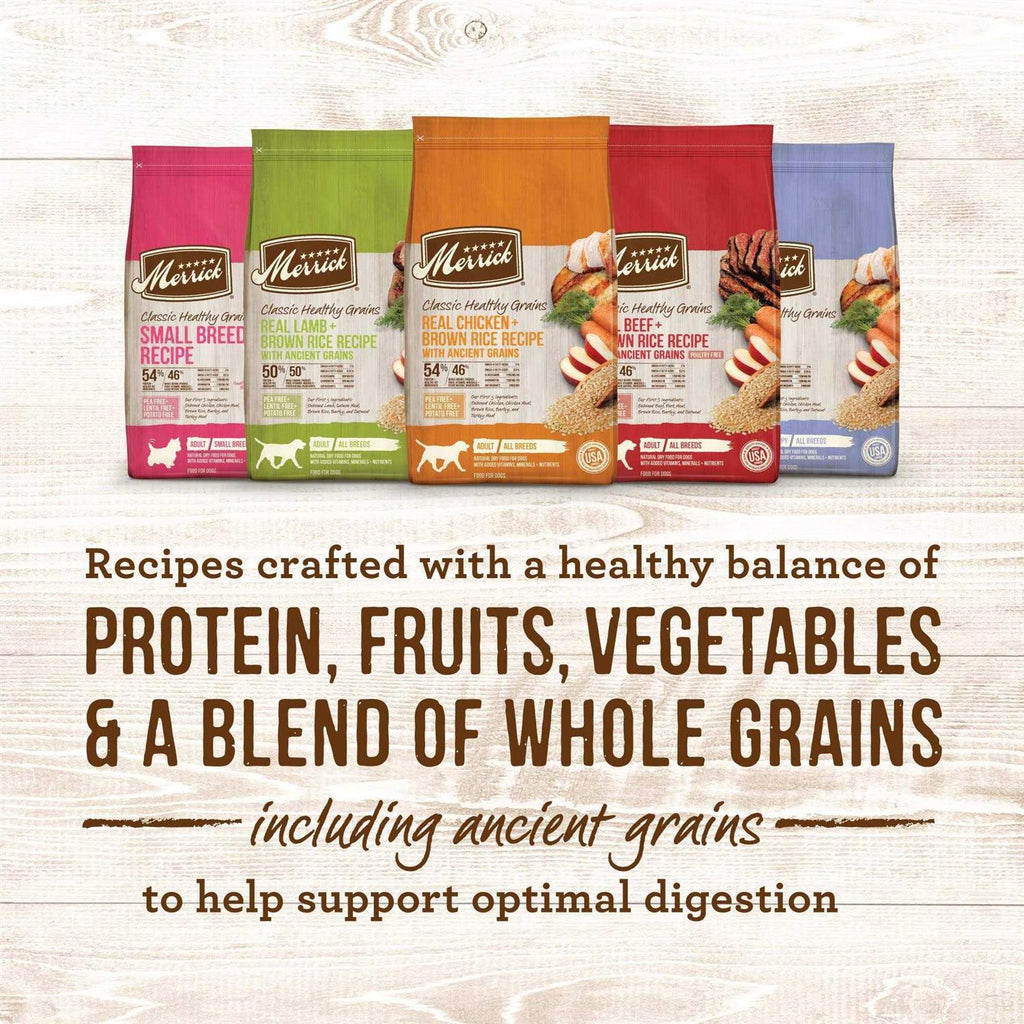 Real Ancient Grains Dry Dog Food V5248