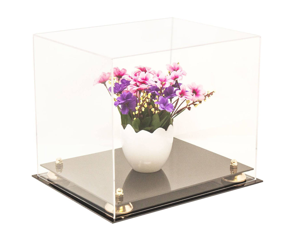 Clear Acrylic Display Case with Black Risers S4705