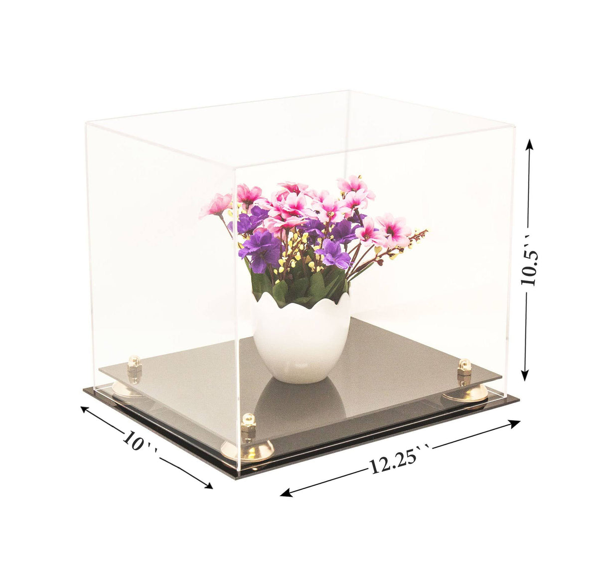 Clear Acrylic Display Case with Black Risers S4705