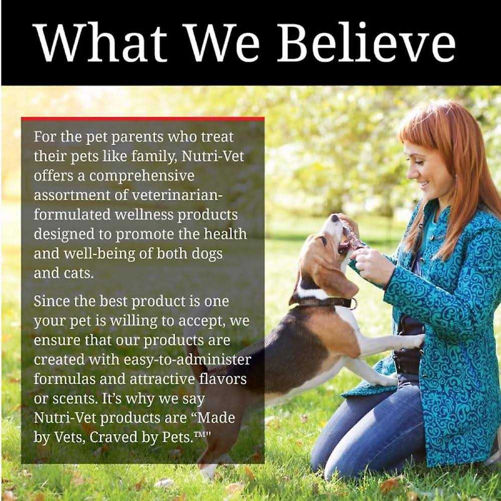 Pumpkin Dog Supplement D6500