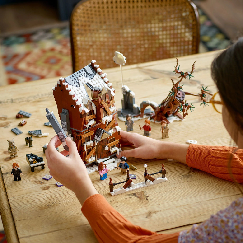 2 in 1 Wizarding World Toy O733790
