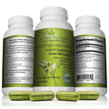Organic Moringa Capsules V46868