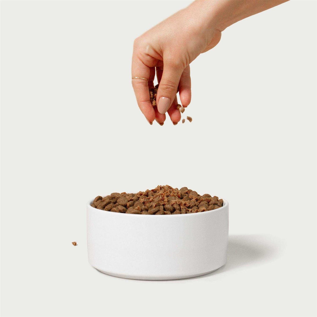 Beef Recipe Dog Food Topper G473203