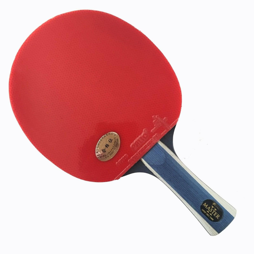 Table Tennis Racket & Case K75272