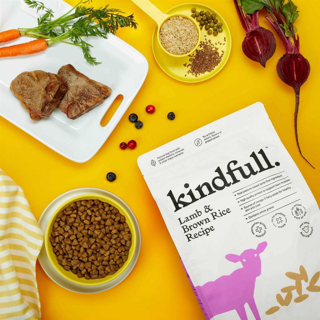 Lamb & Brown Rice Recipe Dry Dog Food I667