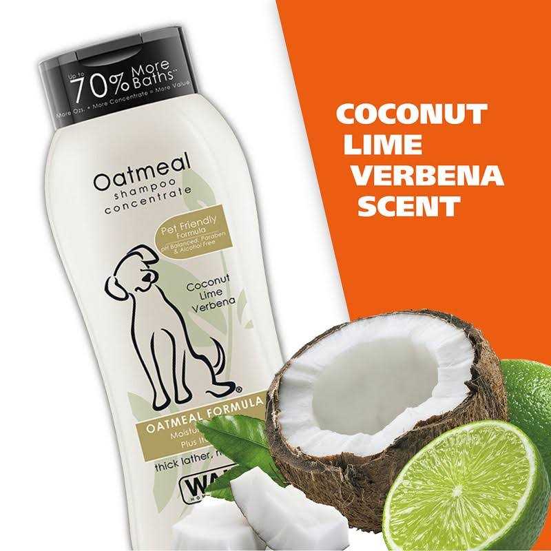 Oatmeal Coconut Lime Verbena Shampoo Concentrate H87530
