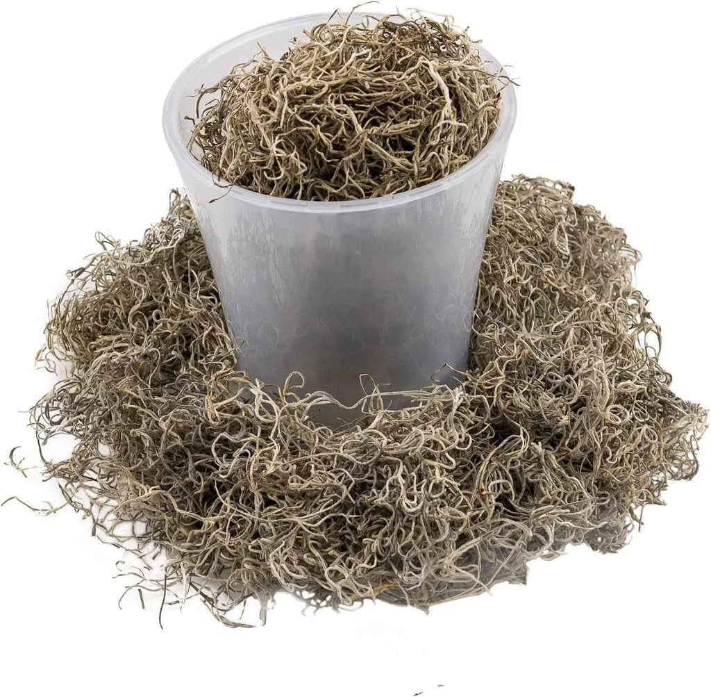 Natural Spanish Moss, 3 Quart Bag X3407