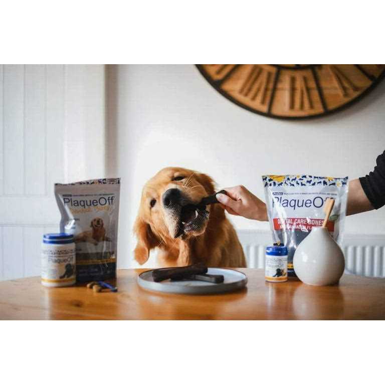 Mini Dental Bones Vegetable Fusion & Blueberry A4016