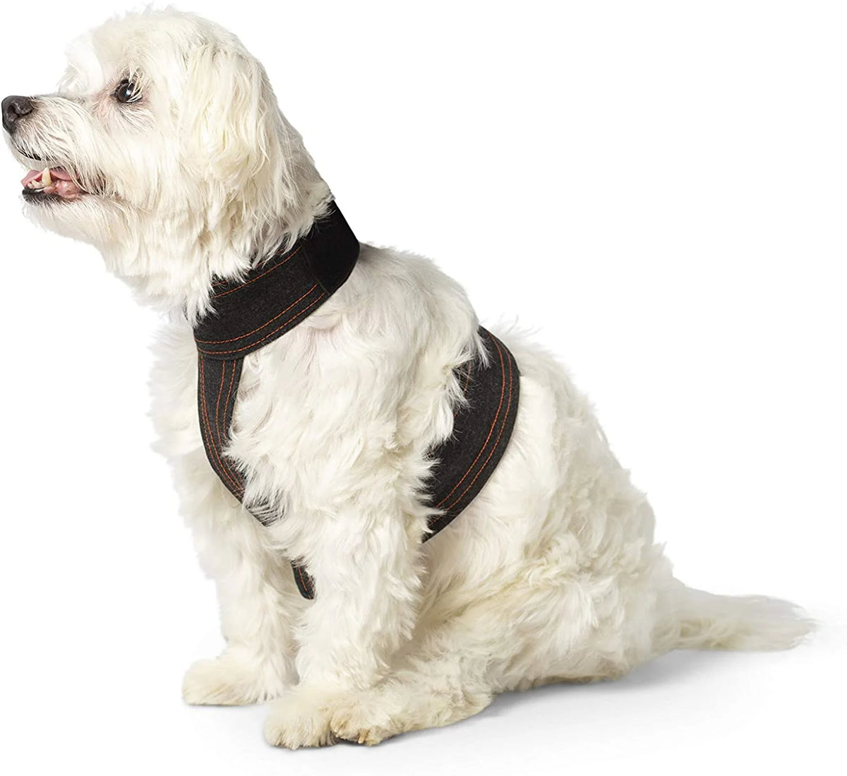 Calmer Canine Accessory Vest Z170