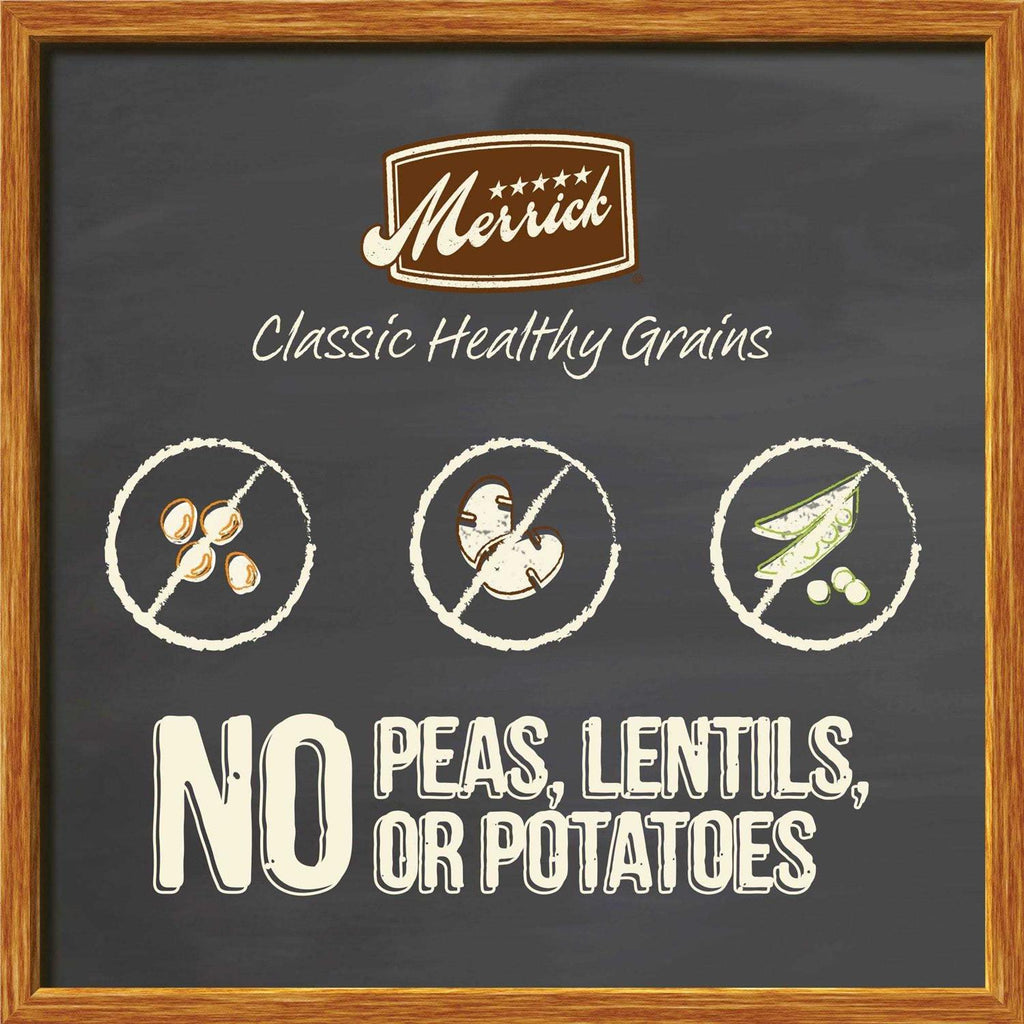 Real Ancient Grains Dry Dog Food V5248