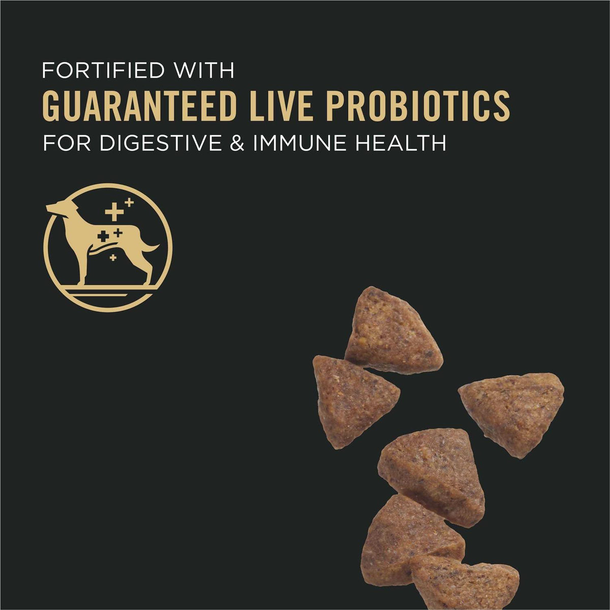 Sensitive Skin & Stomach Dry Dog Food A405091
