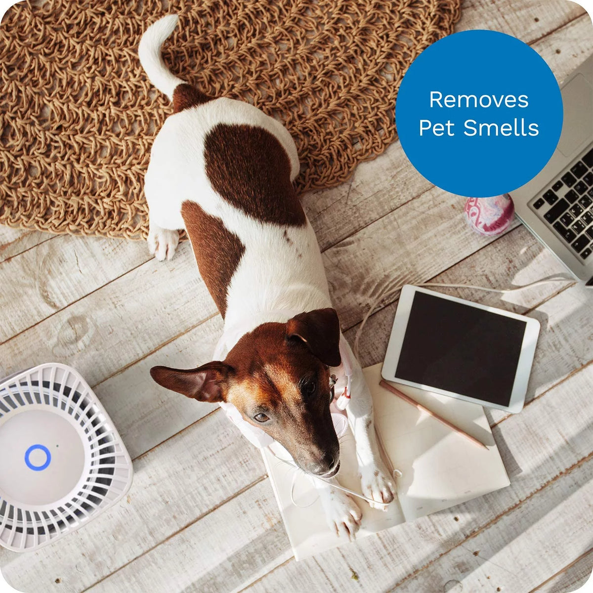4-in-1 Compact Air Purifier W7297