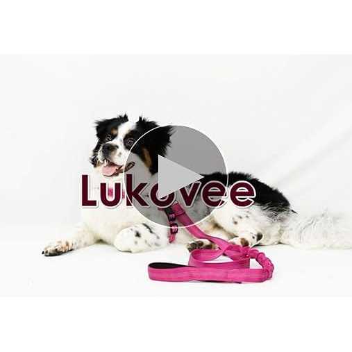Heavy Duty Adjustable Reflective Dog Harness and Leash M71694
