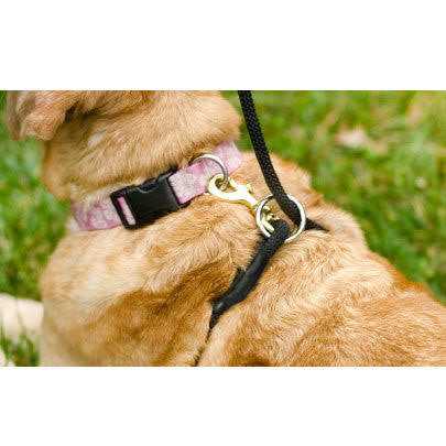 No Pull Dog Leash H162