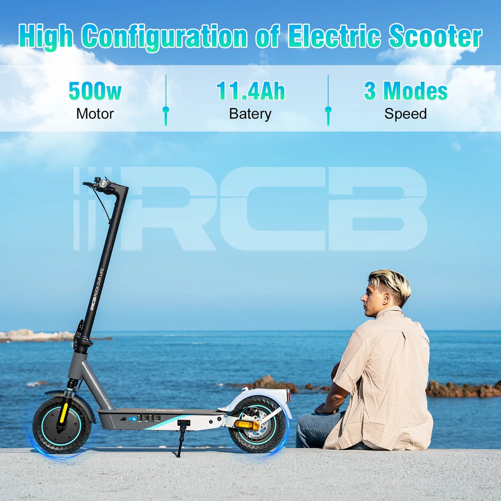 Electric Scooter with 10 Solid Tires, 500W Motor, Folding, Gray V26047