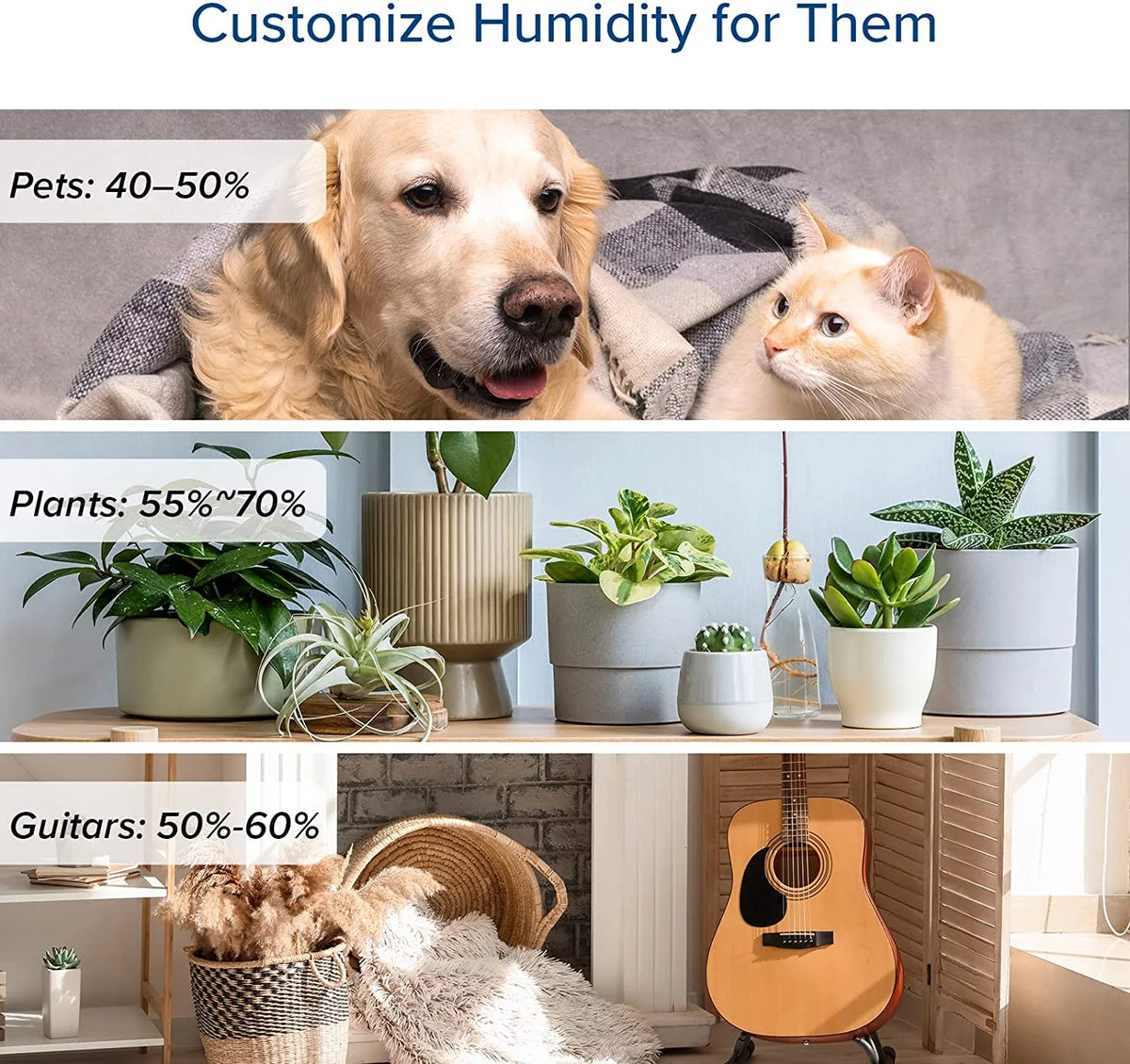6L Warm and Cool Mist Humidifier N151984