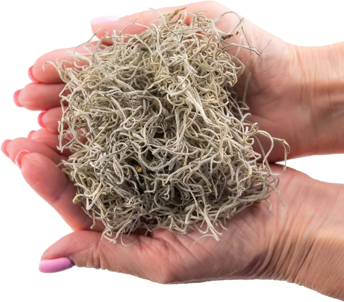 Natural Spanish Moss, 3 Quart Bag X3407