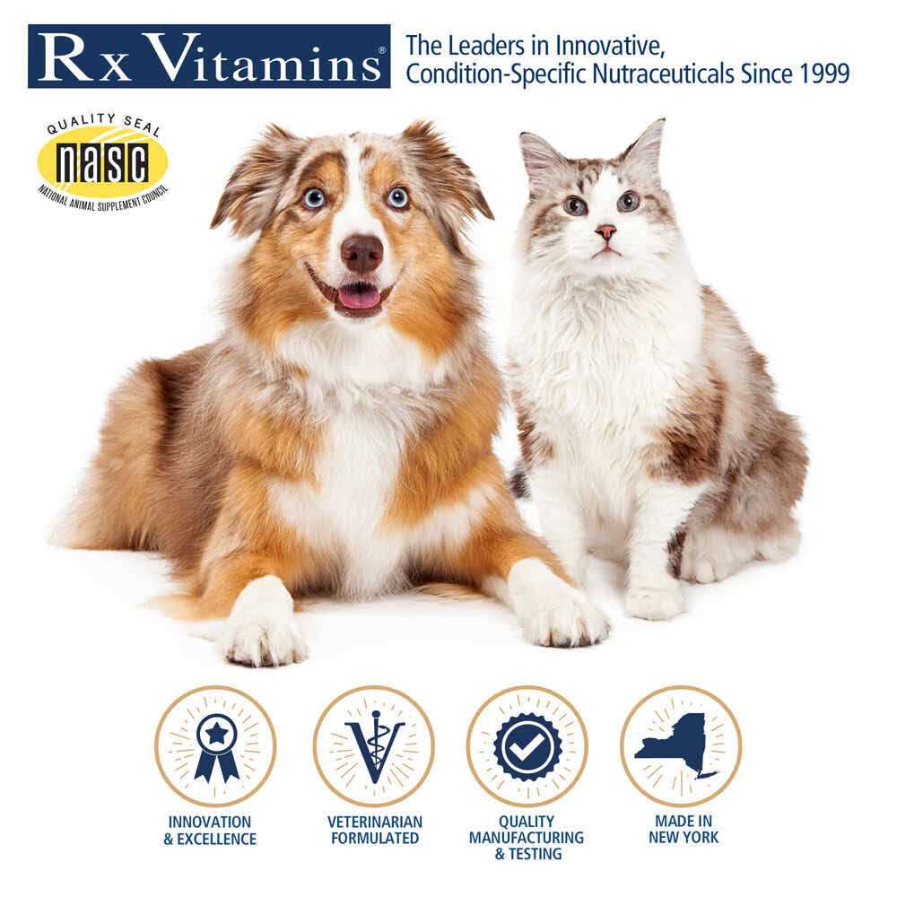 Vitamins for Dogs J364900