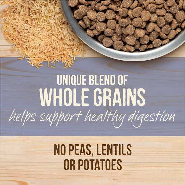 Healthy Grains Freeze Dried Raw Coated Dry Dog Food Puppy Recipe X585