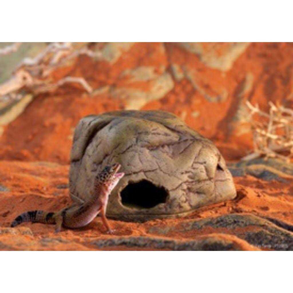 Gecko Cave V60096