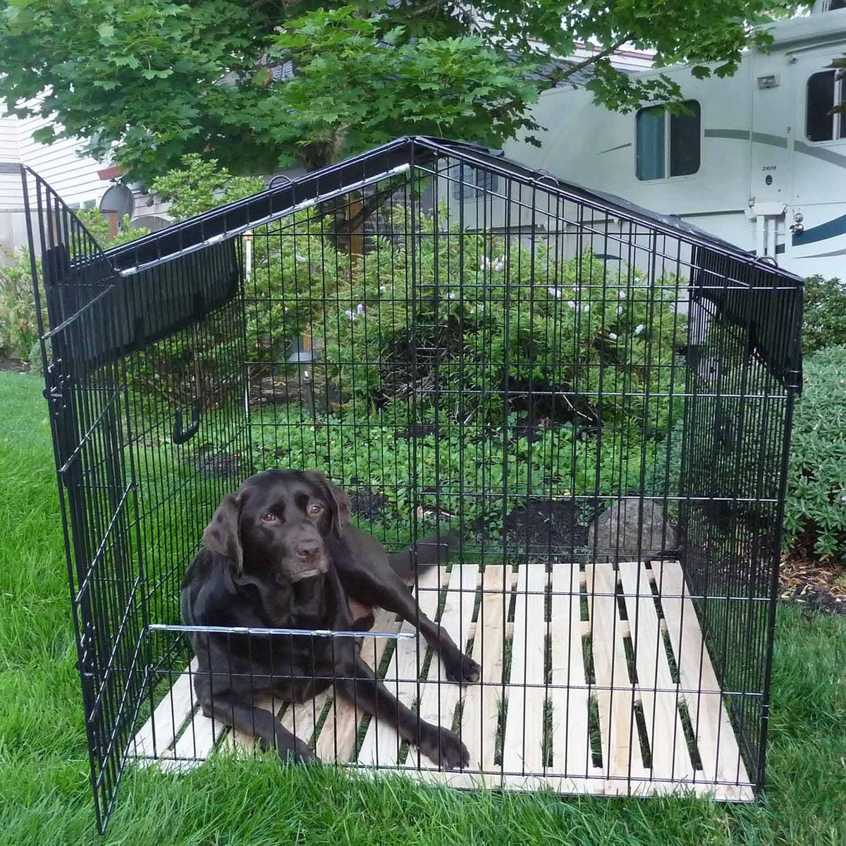 Travel Kennel C848