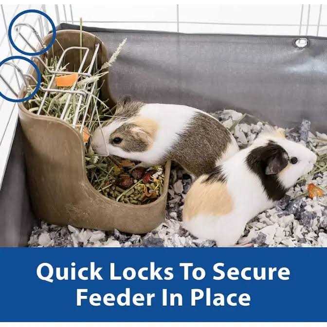 Hay Food Bin with Quick Locks Feeder P234651